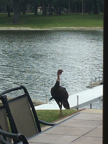 More Photos Of 15400 S US Highway 301, Summerfield Office For Sale