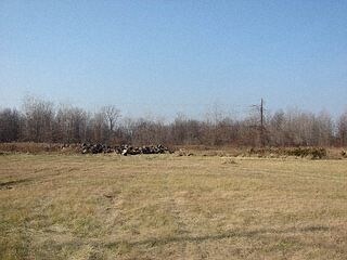 More Photos Of 6130 Wayne Rd, Romulus Land For Sale