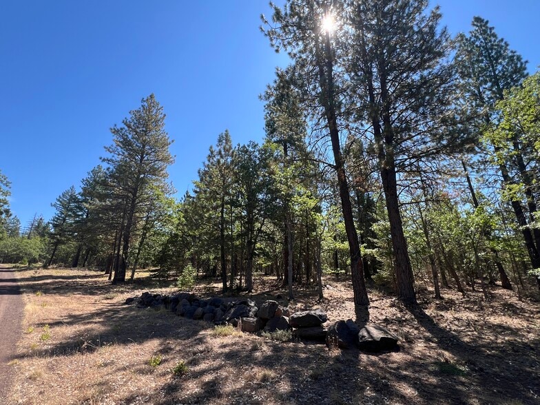 More Photos Of 407 Blue Spruce, Goldendale Land For Sale