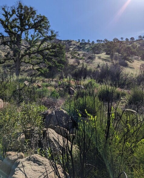 More Photos Of 1460 CA-16, Rumsey Land For Sale