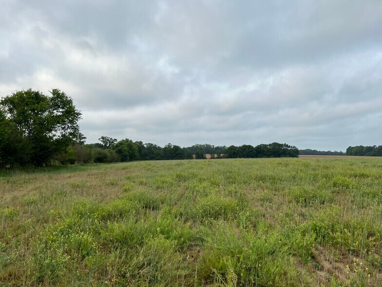 More Photos Of 2833 Omussee Rd, Dothan Land For Sale