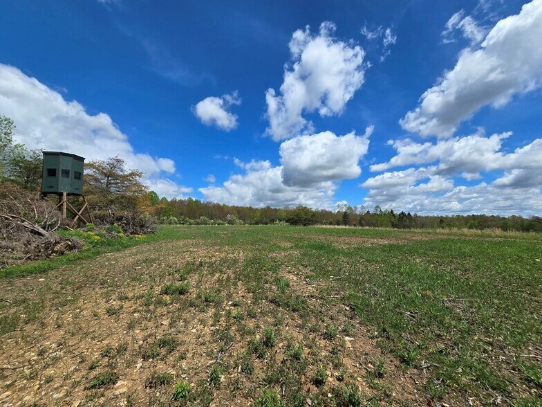 More Photos Of 0 Lower Mudlic rd, Mayport Land For Sale