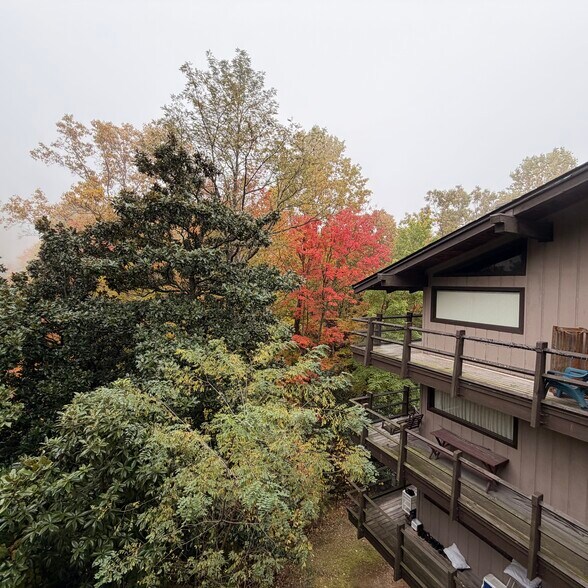 More Photos Of 1081 Cove Rd, Sevierville Specialty For Sale