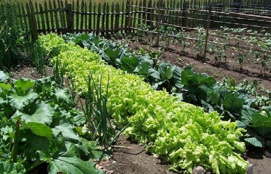 More Photos Of 2021 E 5th St, Austin Office For Lease