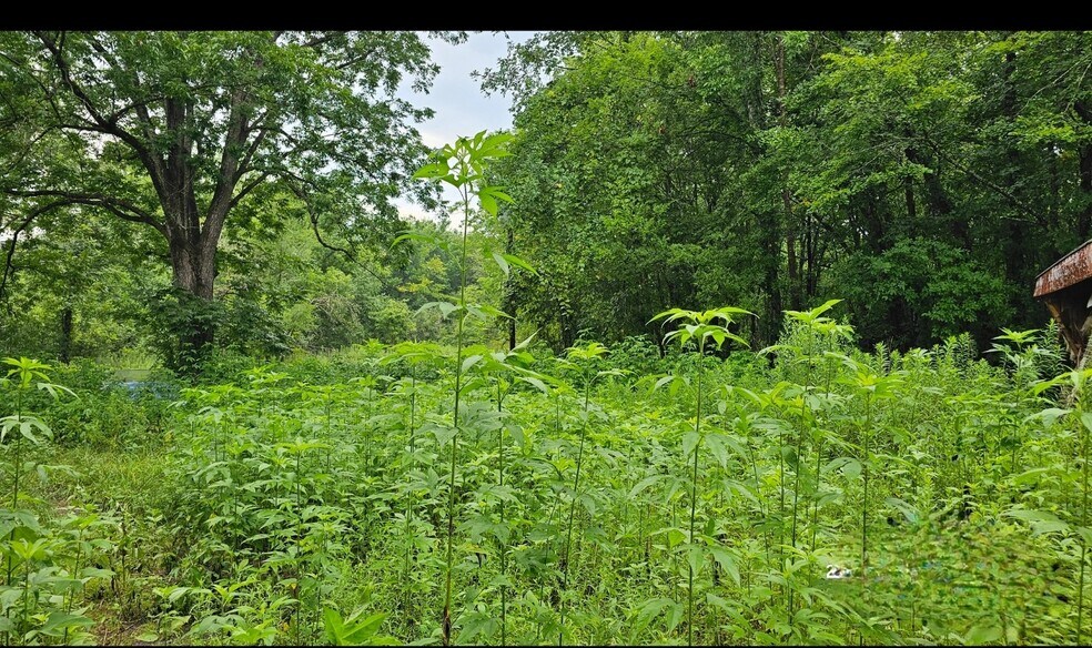 More Photos Of 248 Briar Hill Ln, Coldspring Land For Lease