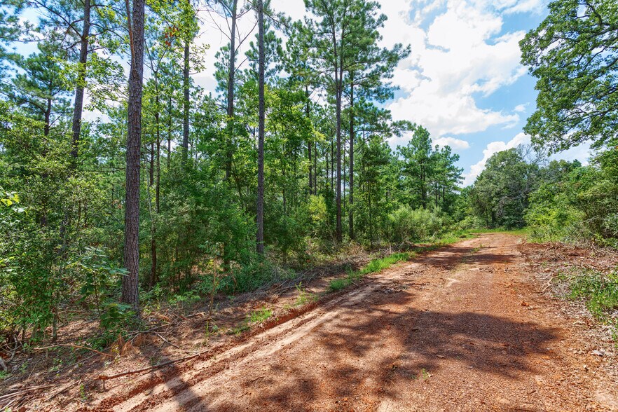 More Photos Of TBD State Hwy 64, Tyler Land For Sale