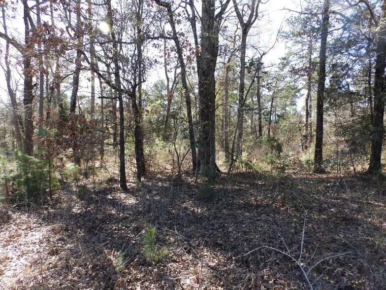 More Photos Of 20175 HWY 155 S, Flint Land For Sale