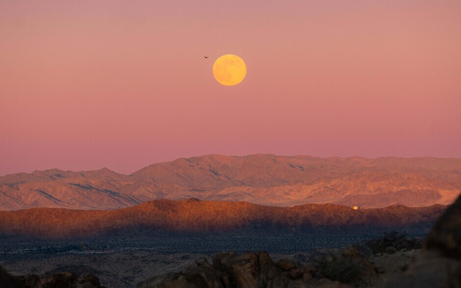 More Photos Of 61271 Calle Los Amigos, Joshua Tree Land For Sale