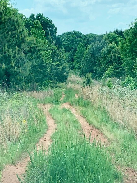 More Photos Of Monroe Hwy @ Dial Mills Road, Bogart Land For Sale