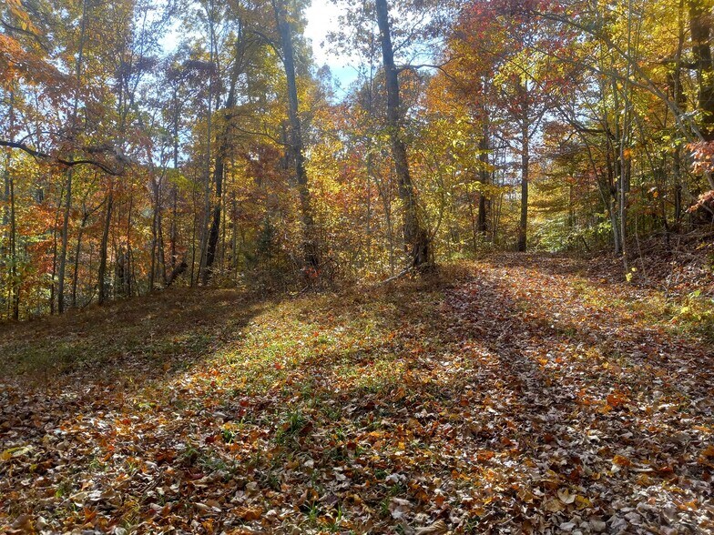 More Photos Of 1737A High Rock Rd, Stanton Land For Sale