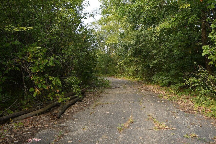 More Photos Of Brads Way, Homer Glen Land For Sale