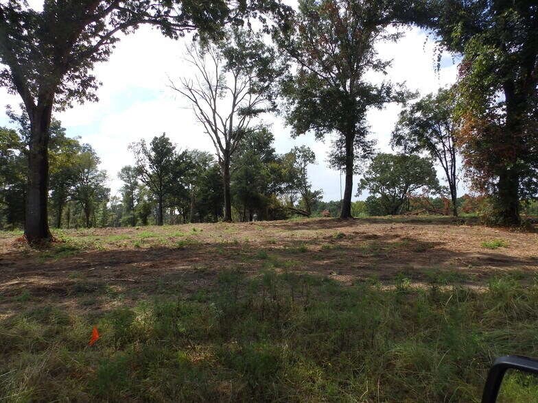 More Photos Of 16393 Highway 31, Tyler Land For Sale