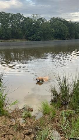 More Photos Of 12251 FM 16 E, Winona Land For Sale