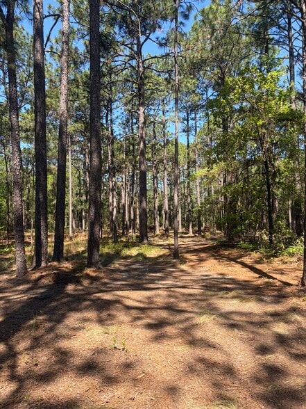 More Photos Of 5324 US 1 Hwy, Vass Land For Sale