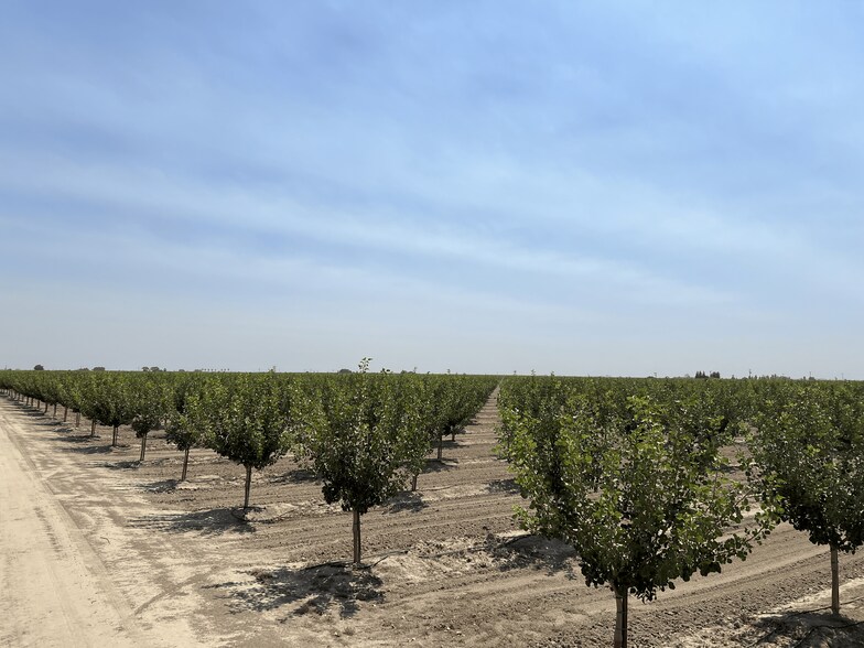 More Photos Of Idaho Ave @ 5th Avenue, Hanford Land For Sale