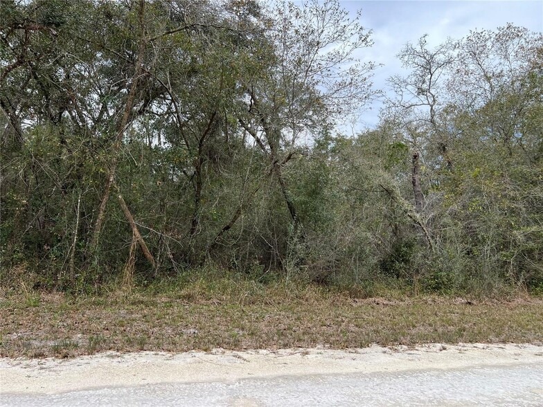 Plymouth Rock Drive, ster, FL 33597 Land For Sale