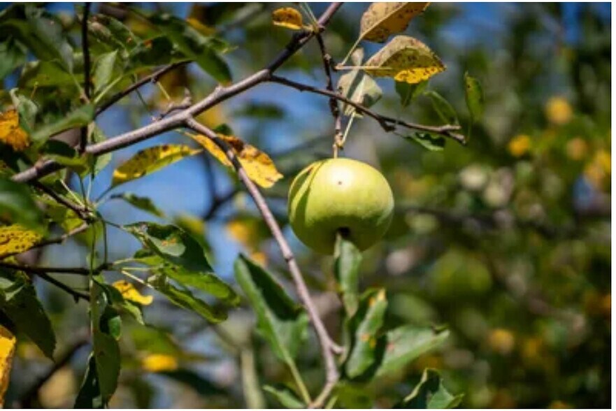 More Photos Of 3321 N Old US Highway 421, Greensburg Specialty For Sale