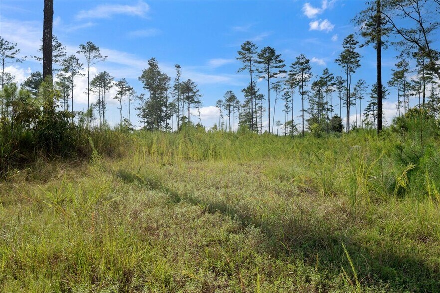 More Photos Of 664 Wiggins Rd, Lyerly Land For Sale