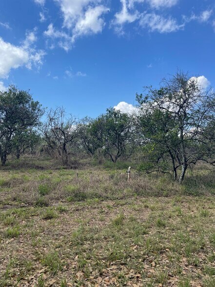 More Photos Of 16982 SE Highway 42, Weirsdale Land For Sale