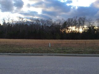 More Photos Of 144 Brookside Pky, Lexington Land For Sale