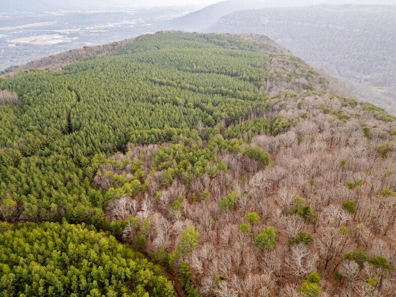 More Photos Of 762 Smith Mountain Rd, Dunlap Land For Sale