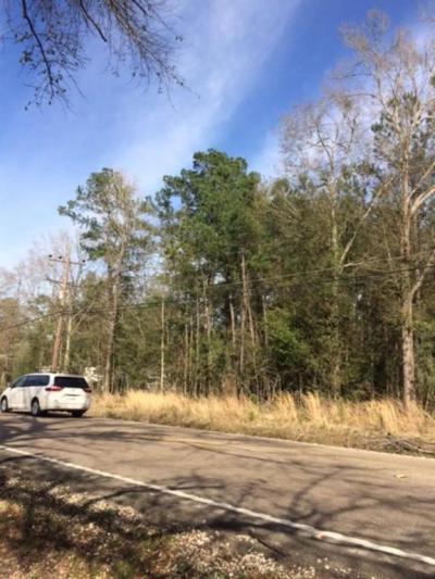 More Photos Of Lee Rd- Hwy 437, Covington Land For Sale