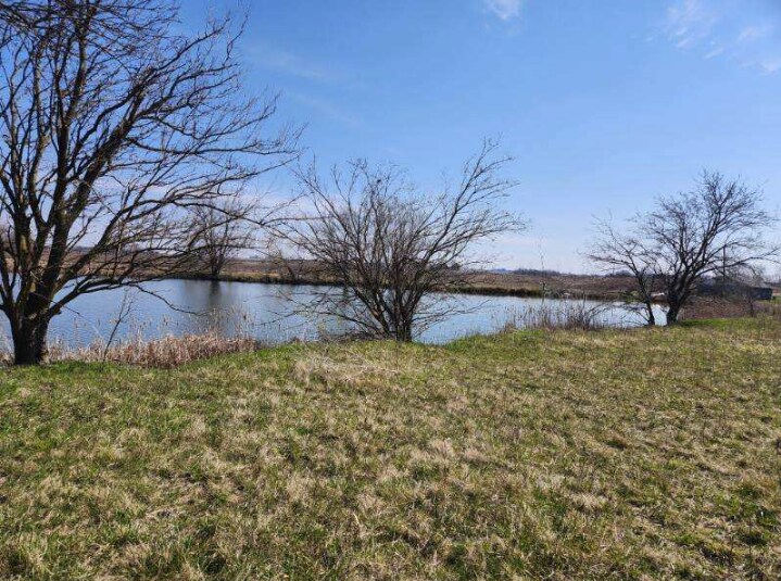 More Photos Of 0 Hanover, Carlock Land For Sale