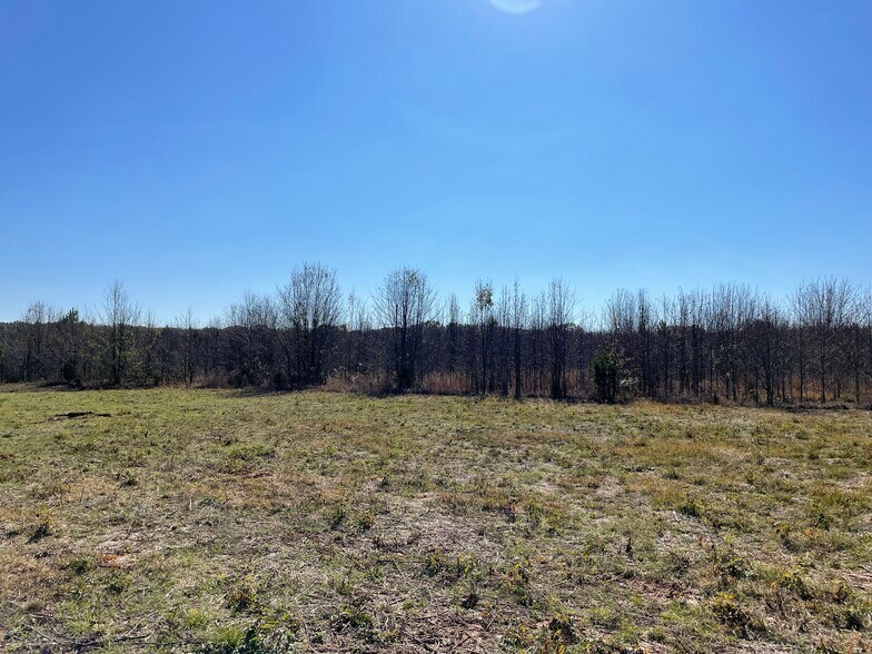 More Photos Of 2501 Auburn SW, Decatur Land For Sale