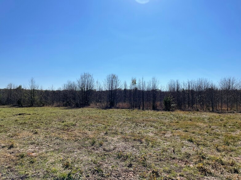 More Photos Of 2501 Auburn SW, Decatur Land For Sale