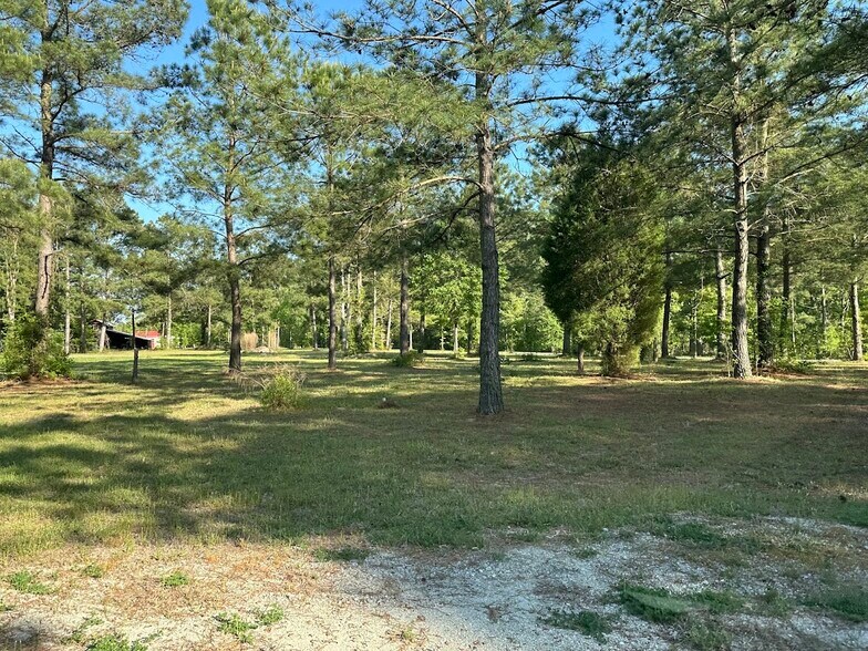 More Photos Of 577 Hoff Rd, Belhaven Land For Sale