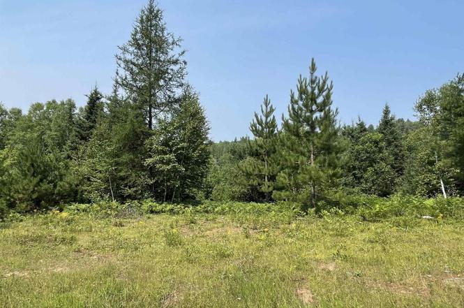 More Photos Of 26497 US-41, Covington Flex For Sale