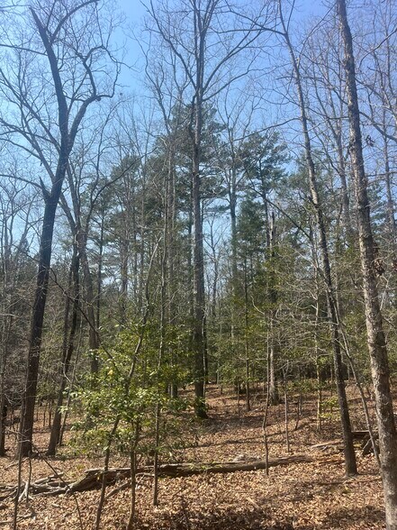 More Photos Of Healing Acres Ln, Carthage Land For Sale