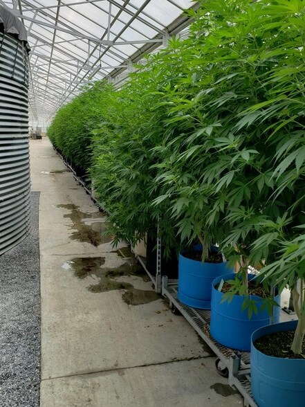 More Photos Of 16 Satterlee Hollow Rd, Berlin Land For Sale