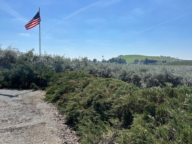 More Photos Of 24257 Ave 234, Lindsay Land For Sale