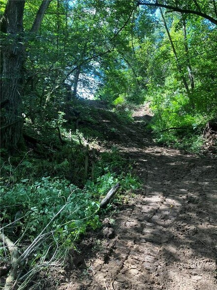 More Photos Of N3953 Bear Pen Rd, Arkansaw Land For Sale