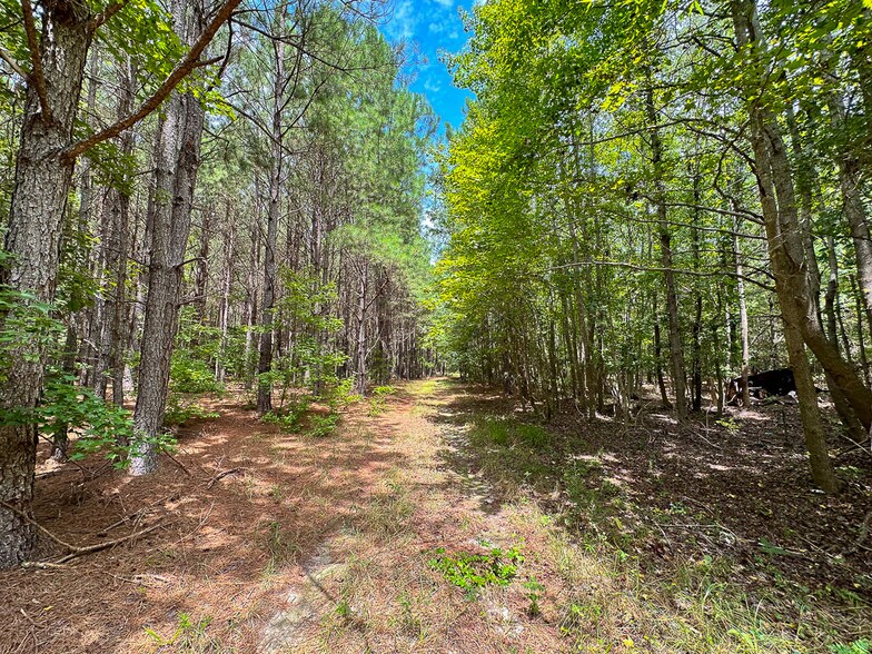 More Photos Of US 401 S Hwy, Youngsville Land For Sale