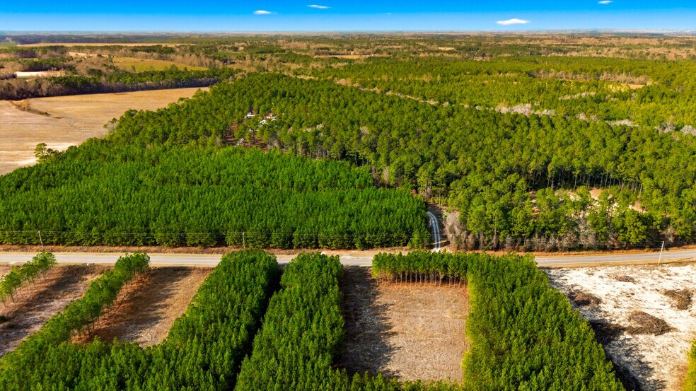 More Photos Of Highway 45, Loris Land For Sale