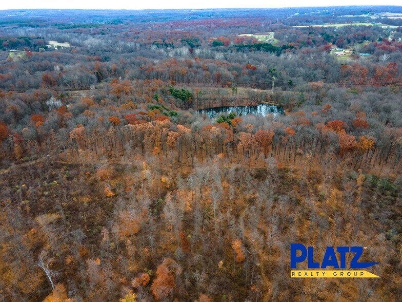 More Photos Of 10666 Akron Canfield, Canfield Land For Sale