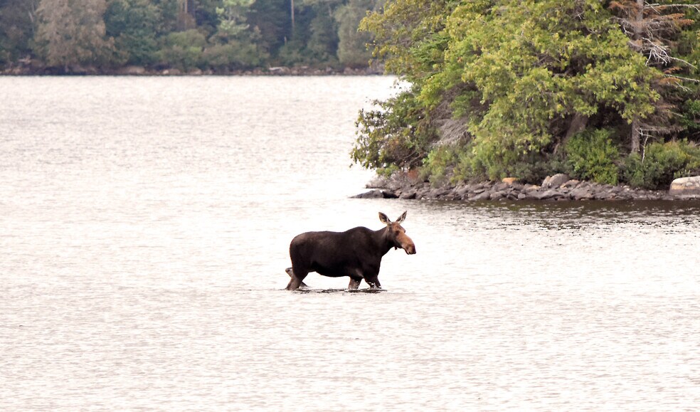 More Photos Of 6003 Route 201, Parlin Pond Twp Lodge Meeting Hall For Sale