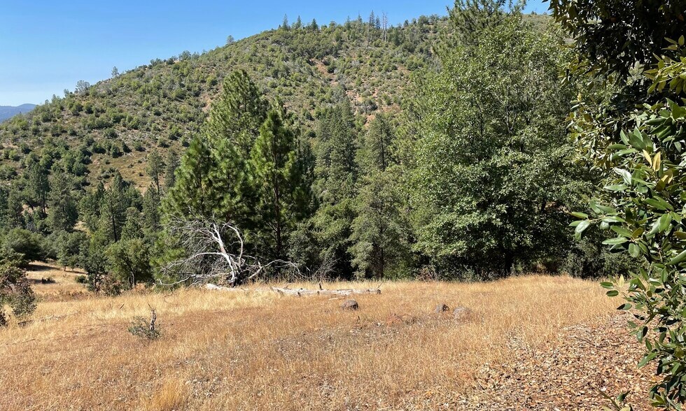 More Photos Of 00000 Forrest Road 1N19, Tuolumne Land For Sale