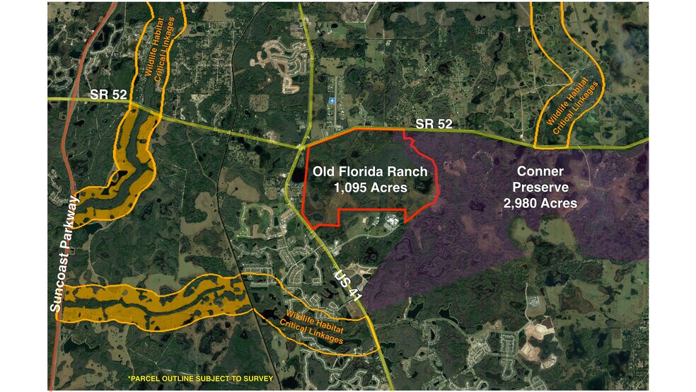 More Photos Of 19858 State Road 52, Land O' Lakes Land For Sale