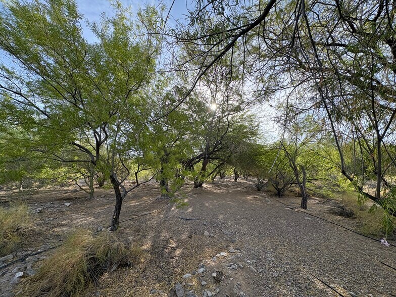 More Photos Of 160 +/- Acres Juanita Springs Ranch, Bunkerville Land For Sale