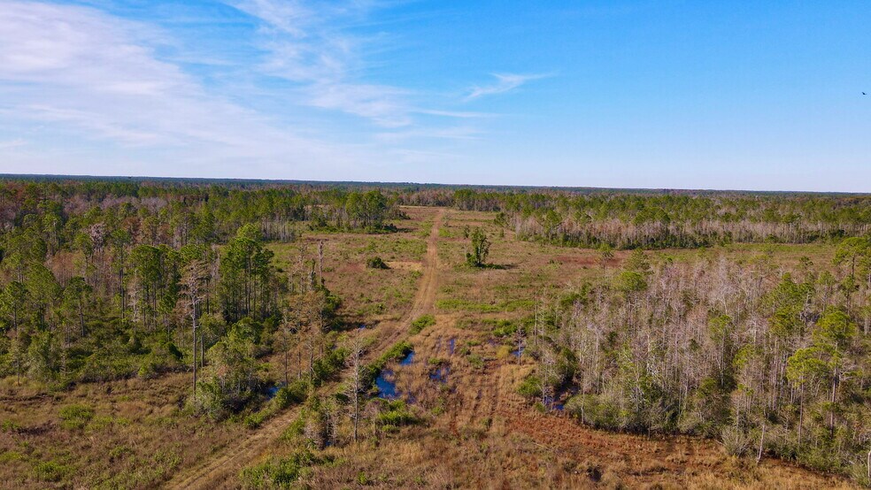 More Photos Of 4597 State 24 rd, Bronson Land For Sale