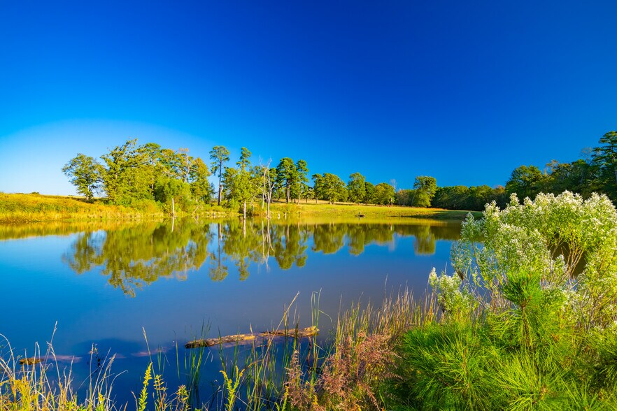 More Photos Of 391 Farm to Market 1519, Scroggins Land For Sale