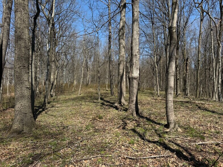 More Photos Of 0 Kragel Rd, Wintersville Land For Sale