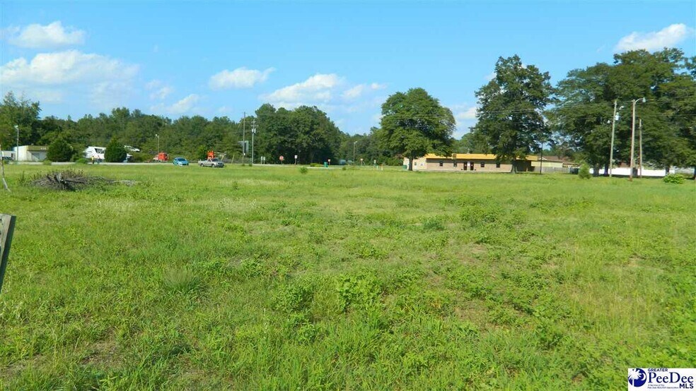 More Photos Of 4603 W Highway 76, Marion Land For Sale