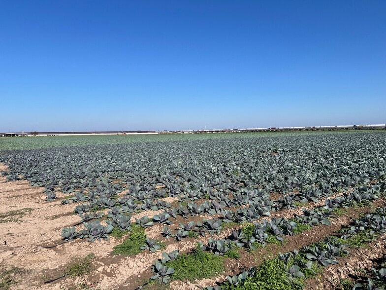 More Photos Of 271.62 Acs on West side of Pharr Intl. Bridge, Pharr Land For Sale