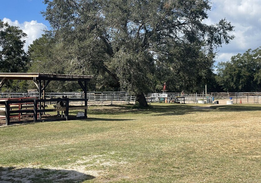 More Photos Of 3903 Ondich Rd, Apopka Land For Sale