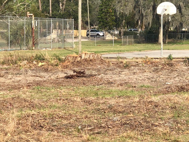 More Photos Of 3103 Washington St, Zellwood Land For Sale