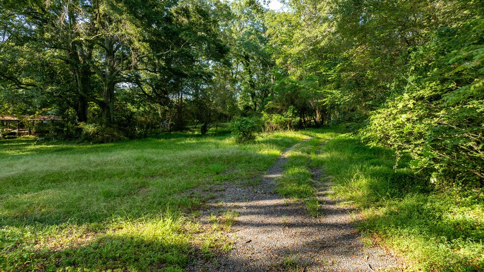 More Photos Of 62 Turin Rd, Senoia Land For Sale